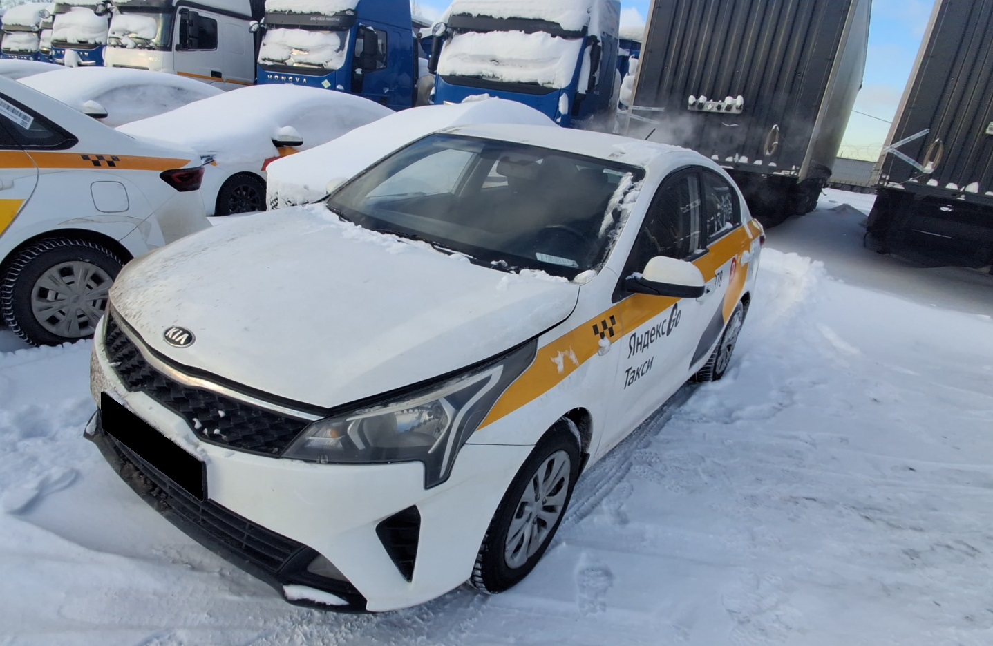 KIA rio