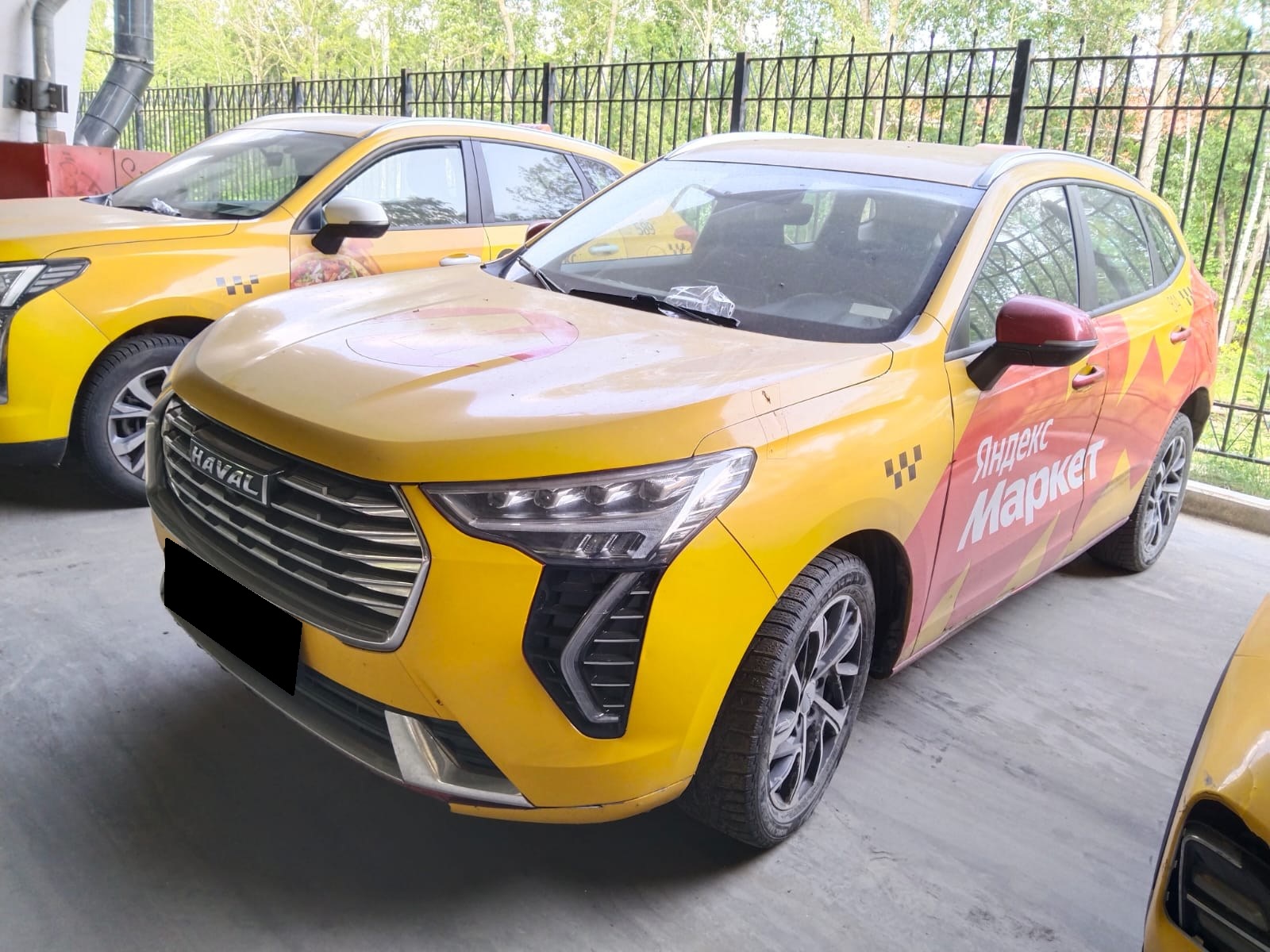 Haval