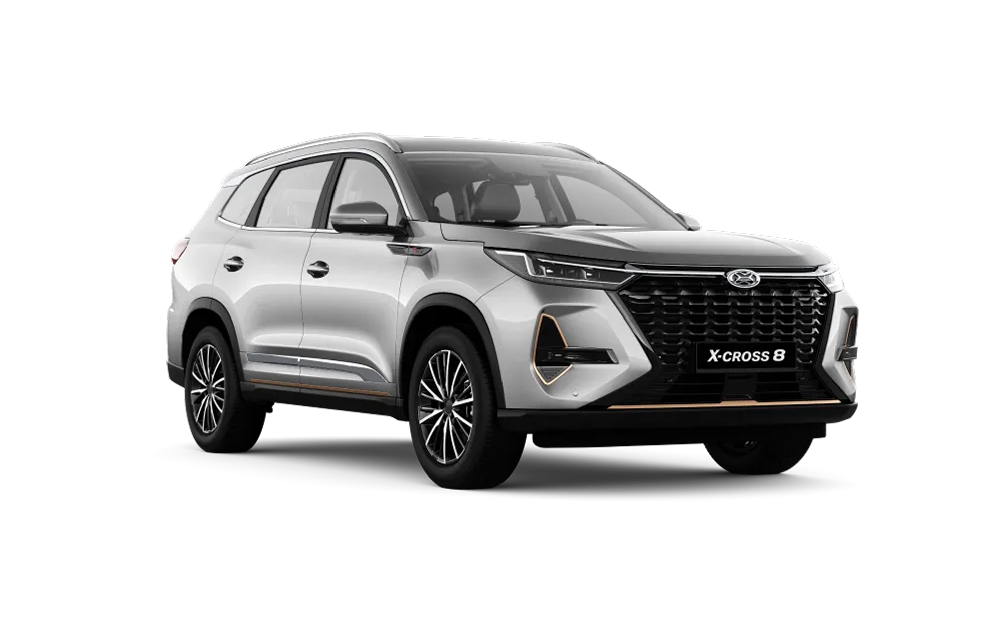 X-Cross 8