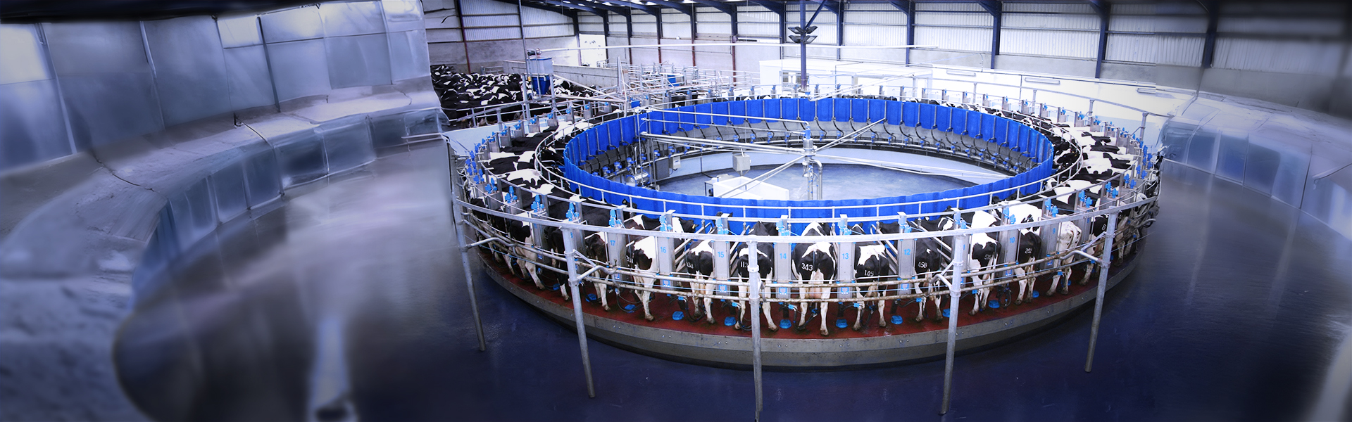 Оборудование для животноводства