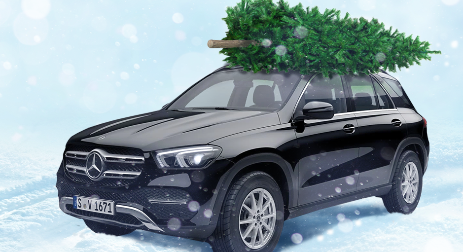 Ценный груз: на каком легковом авто привезти елку в целости и не испортить машину