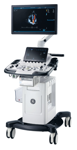 VIVID T8